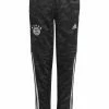 Adidas Performance BAYERN MÜNCHEN TRAININGS - Tracksuit Bottoms - Grey Six/black