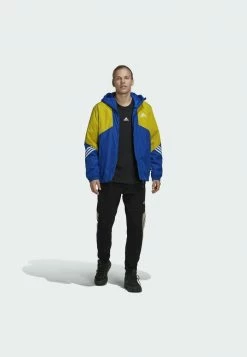 Adidas Performance BTS HD JKT - Winter Jacket - Blue 13 Adidas Performance BTS HD JKT - Winter Jacket - Blue -adidas Performance Shop 01ef056b3013466f967f1f1f7eb1f848