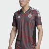 Adidas Performance FC BAYERN MÜNCHEN EU TRAININGS JERSEY - Sports T-shirt - Red/grey Six 2 Adidas Performance FC BAYERN MÜNCHEN EU TRAININGS JERSEY - Sports T-shirt - Red/grey Six -adidas Performance Shop 032003abbec34b09aa90a4db1bb0928e