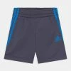 Adidas Performance Sports Shorts - Shadow Navy/blue Rush 2 Adidas Performance Sports Shorts - Shadow Navy/blue Rush -adidas Performance Shop 032a2cd0eb7541008a06e5b455346bb8