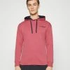 Adidas Performance TERREX LOGO GRAPHIC - Hoodie - Red