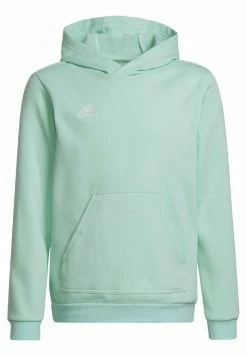 Adidas Performance ENTRADA 22 HOODY UNISEX - Hoodie - Turquoise