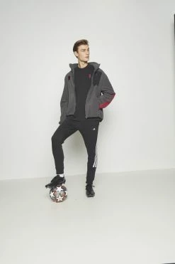 Adidas Performance FC BAYERN MÜNCHEN TEE - Club Wear - Black -adidas Performance Shop 112ddc5d183841af82c103256d7de779