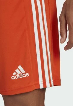 Adidas Performance SQUADRA 21 SHORTS - Shorts - Orange -adidas Performance Shop 11bcea58c33b40618ff9d1bfce08f23e
