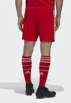 Adidas Performance DOMICILE FC BAYERN 22/23 - Sports Shorts - Red -adidas Performance Shop 15301cea34a8448bbd4c5e05e394a0b2