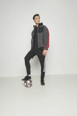 Adidas Performance FC BAYERN MÜNCHEN TEE - Club Wear - Black -adidas Performance Shop 226b7001dcaa4f418c59a08f084b2b56