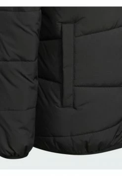 Adidas Performance Winter Jacket - Black 9 Adidas Performance Winter Jacket - Black -adidas Performance Shop 2b1e64791e7249d3a3ba0dcf2dd25033