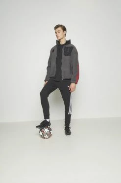 Adidas Performance FC BAYERN MÜNCHEN TEE - Club Wear - Black -adidas Performance Shop 31118b22dd1642558b15df3650c5d4f7