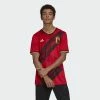 Adidas Performance BELGIUM RBFA HOME JERSEY - Club Wear - Red -adidas Performance Shop 358838ad6a7746c6a13ff5c206015c4b
