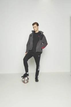 Adidas Performance FC BAYERN MÜNCHEN TEE - Club Wear - Black -adidas Performance Shop 3b4f7d6a535547ffb72a3168b676db73