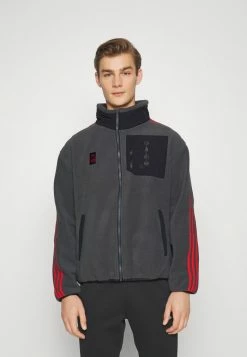 Adidas Performance FC BAYERN MÜNCHEN JACKET - Training Jacket - Grey