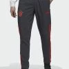 Adidas Performance FC BAYERN MÜNCHEN PRESENTATION PANT - Tracksuit Bottoms - Night Grey