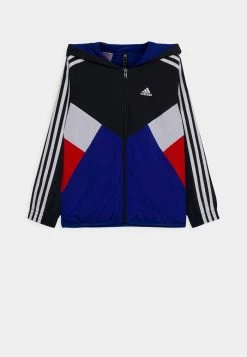 Adidas Performance UNISEX - Training Jacket - Team Royal Blue/legend Ink/white
