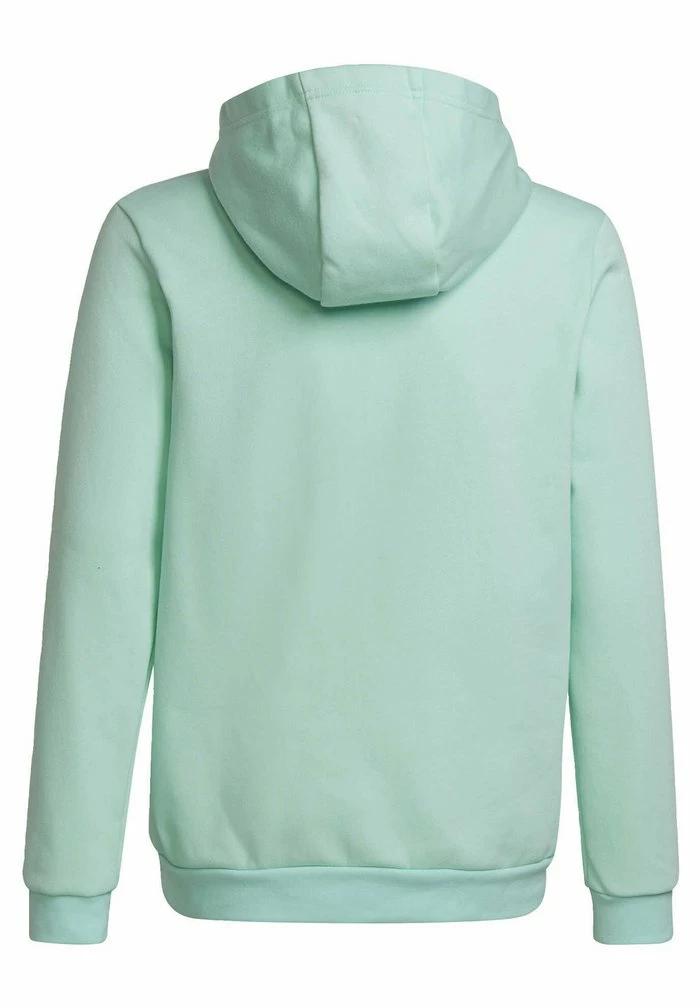 Adidas Performance ENTRADA 22 HOODY UNISEX - Hoodie - Turquoise 4 Adidas Performance ENTRADA 22 HOODY UNISEX - Hoodie - Turquoise - Image 2