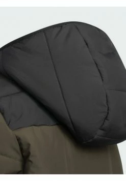 Adidas Performance Winter Jacket - Green 10 Adidas Performance Winter Jacket - Green -adidas Performance Shop 59e8db4810884ed9ad0dc6db0ae92992