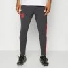 Adidas Performance FC BAYERN MÜNCHEN TRAININGS PANT - Tracksuit Bottoms - Night Grey -adidas Performance Shop 622c3583d12d4327a053c59bca6b612b