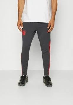Adidas Performance FC BAYERN MÜNCHEN TRAININGS PANT - Tracksuit Bottoms - Night Grey