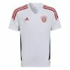 Adidas Performance FC BAYERN CONDIVO - Football Shirt - White -adidas Performance Shop 687c345095b543d09d15d05a9d3f3a21