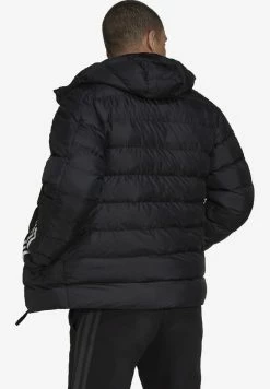 Adidas Performance ITAVIC - Winter Jacket - Black