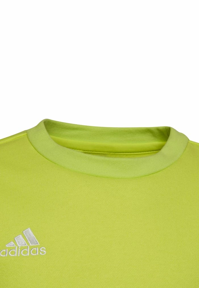 Adidas Performance FUSSBALL TEAMSPORT ENTR - Sweatshirt - Gruen 6 Adidas Performance FUSSBALL TEAMSPORT ENTR - Sweatshirt - Gruen - Image 4