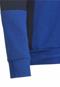 Adidas Performance HOODIE UNISEX - Hoodie - White/legend Ink/team Royal Blue -adidas Performance Shop 7fb6384ce9e648dcb851e6765a471abb
