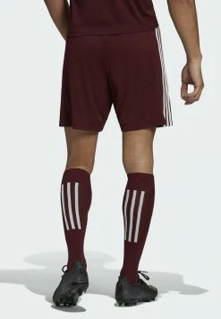 Adidas Performance SQUADRA 21 SHORTS - Sports Shorts - Red -adidas Performance Shop 7ffa612fe4244582b7a1b27768883e0c