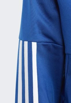 Adidas Performance SET - Tracksuit - Top Team Royal Blue/white Bottom Grey Six /white -adidas Performance Shop 80d1dcfccf75477ea8fbed3c9f7f12af