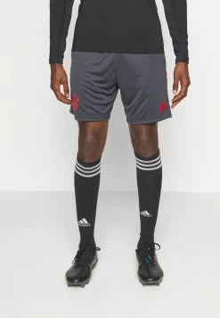 Adidas Performance FC BAYERN MÜNCHEN TRAININGS SHORT - Club Wear - Night Grey