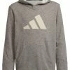 Adidas Performance Hoodie - Grey -adidas Performance Shop 8897b126a328420e8c0c125723c28cdb