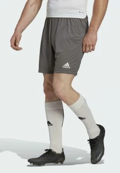 Adidas Performance ENTRADA 22 - Sports Shorts - Grey