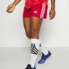 Adidas Performance SQUADRA SHORT - Sports Shorts - Team Power Red/white