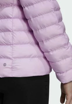 Adidas Performance Winter Jacket - Purple 15 Adidas Performance Winter Jacket - Purple -adidas Performance Shop 92c090ac28a744cfb0dd89f67ce8c0e9