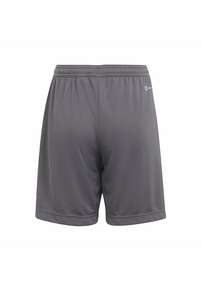 Adidas Performance ENTRADA - Sports Shorts - Grey 4 Adidas Performance ENTRADA - Sports Shorts - Grey - Image 2