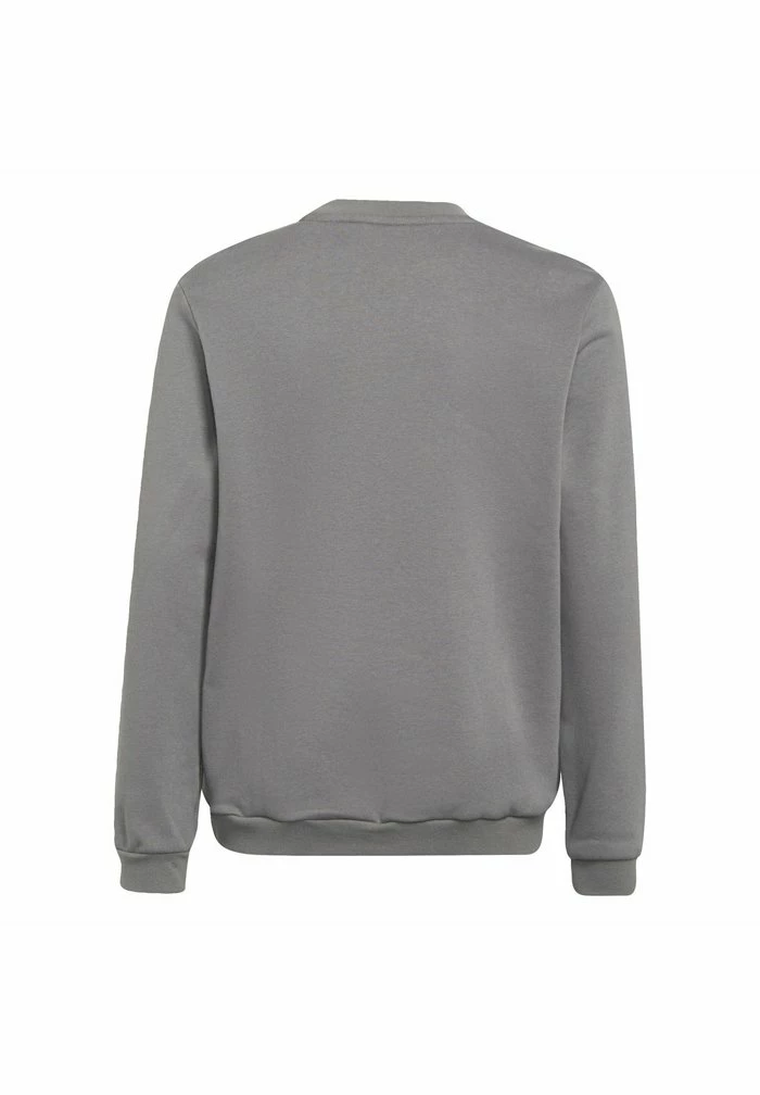 Adidas Performance ENTRADA - Sweatshirt - Grey 4 Adidas Performance ENTRADA - Sweatshirt - Grey - Image 2