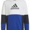 Adidas Performance HOODIE UNISEX - Hoodie - White/legend Ink/team Royal Blue 1 Adidas Performance HOODIE UNISEX - Hoodie - White/legend Ink/team Royal Blue -adidas Performance Shop 977f238c51f941bea080d834b27d8ca7