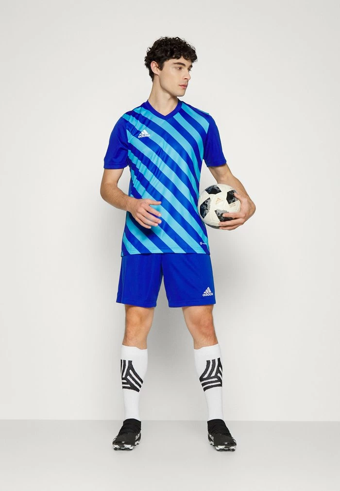 Adidas Performance ENTRADA 22 - Sports Shorts - Team Royal Blue 4 Adidas Performance ENTRADA 22 - Sports Shorts - Team Royal Blue - Image 2
