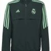 Adidas Performance REAL MADRID - Training Jacket - Shadow Green