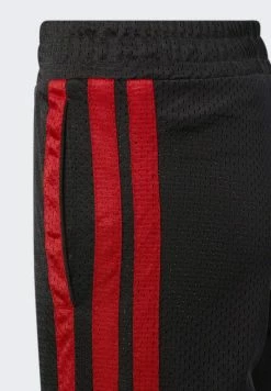 Adidas Performance YOUNG CREATORS LEGEND - Sports Shorts - Black -adidas Performance Shop c23db1d5816e4e75a80c1a38d070ba35
