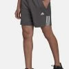 Adidas Performance MOTION SHORT - Sports Shorts - Grey Six 1 Adidas Performance MOTION SHORT - Sports Shorts - Grey Six -adidas Performance Shop c5ee613a0a314e32a93bee2d994572a0