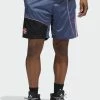 Adidas Performance WORLDWIDE HOOPS CREATOR - Sports Shorts - Blue