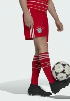 Adidas Performance DOMICILE FC BAYERN 22/23 - Sports Shorts - Red -adidas Performance Shop c70eee2390b745ac9183b040dbe5ec0b