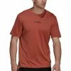 Adidas Performance OUTDOOR - Sports T-shirt - Braun -adidas Performance Shop c7e4e9205ab843fa8e5089cca8e00635