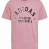 Adidas Performance GRAPHIC - Print T-shirt - Pink