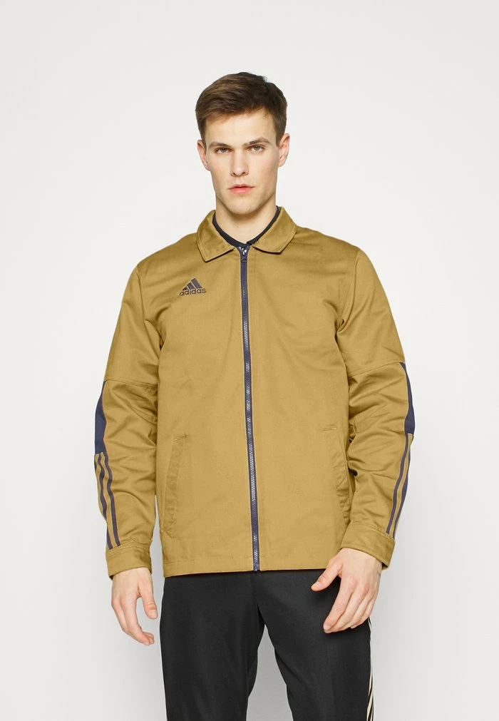 Adidas Performance TIRO - Training Jacket - Golden Beige 3 Adidas Performance TIRO - Training Jacket - Golden Beige