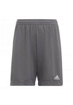 Adidas Performance ENTRADA - Sports Shorts - Grey