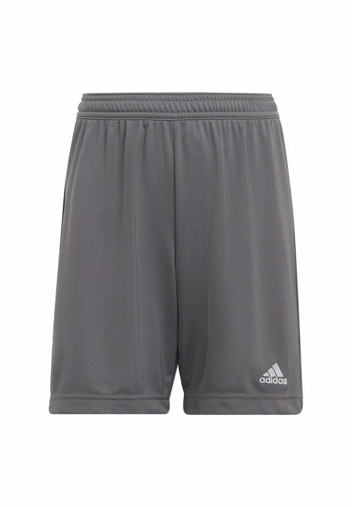 Adidas Performance ENTRADA - Sports Shorts - Grey 3 Adidas Performance ENTRADA - Sports Shorts - Grey