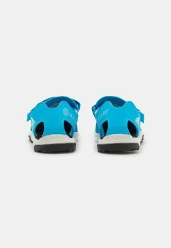 Adidas Performance CAPTAIN TOEY 2.0 - Walking Sandals - Blue Rush/sky Rush/white 10 Adidas Performance CAPTAIN TOEY 2.0 - Walking Sandals - Blue Rush/sky Rush/white -adidas Performance Shop d136925b77064cd196d0c5b1013078e9