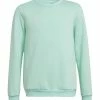Adidas Performance FUSSBALL TEAMSPORT ENTR - Sweatshirt - Tuerkis -adidas Performance Shop e2f2e8bcdadf463cb43b5a8432979742