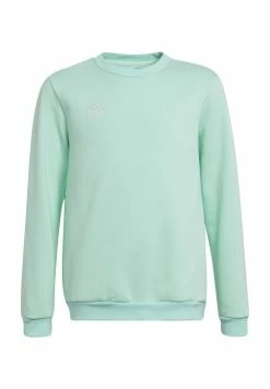 Adidas Performance FUSSBALL TEAMSPORT ENTR - Sweatshirt - Tuerkis
