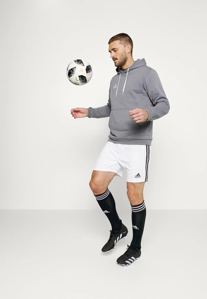 Adidas Performance ENTRADA HOODY - Hoodie - Team Grey Four 4 Adidas Performance ENTRADA HOODY - Hoodie - Team Grey Four - Image 2